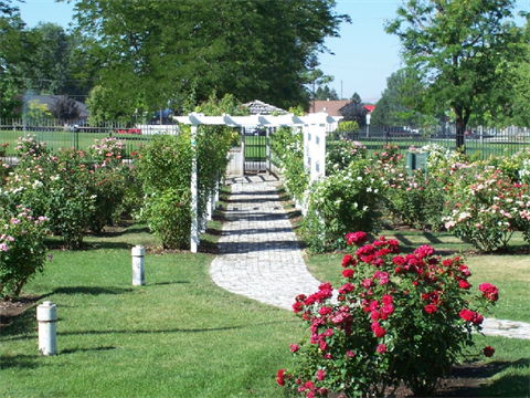 Rose Garden at Luby Park